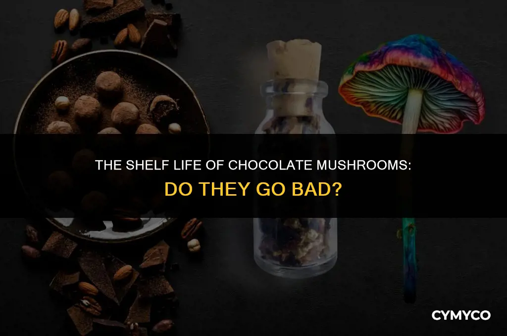 do chocolate mushrooms go bad