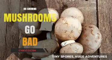 Exploring the Shelf Life of Cremini Mushrooms: Do They Go Bad?