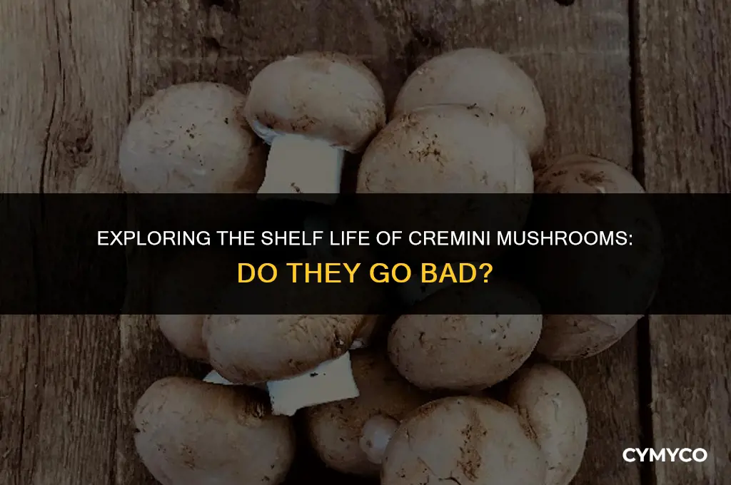 do cremini mushrooms go bad