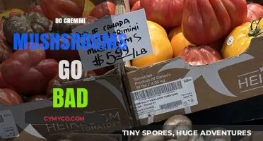 Do Cremini Mushrooms Go Bad? Shelf Life and Storage Tips