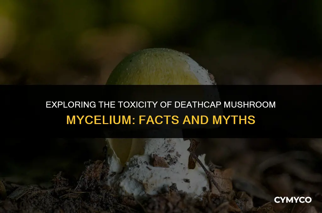do deathcap mushroom mycelium contain poison