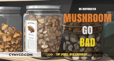 The Shelf Life of Dehydrated Mushrooms: A Comprehensive Guide