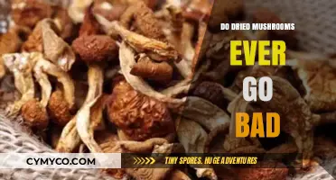 Exploring the Shelf Life of Dried Mushrooms: A Comprehensive Guide