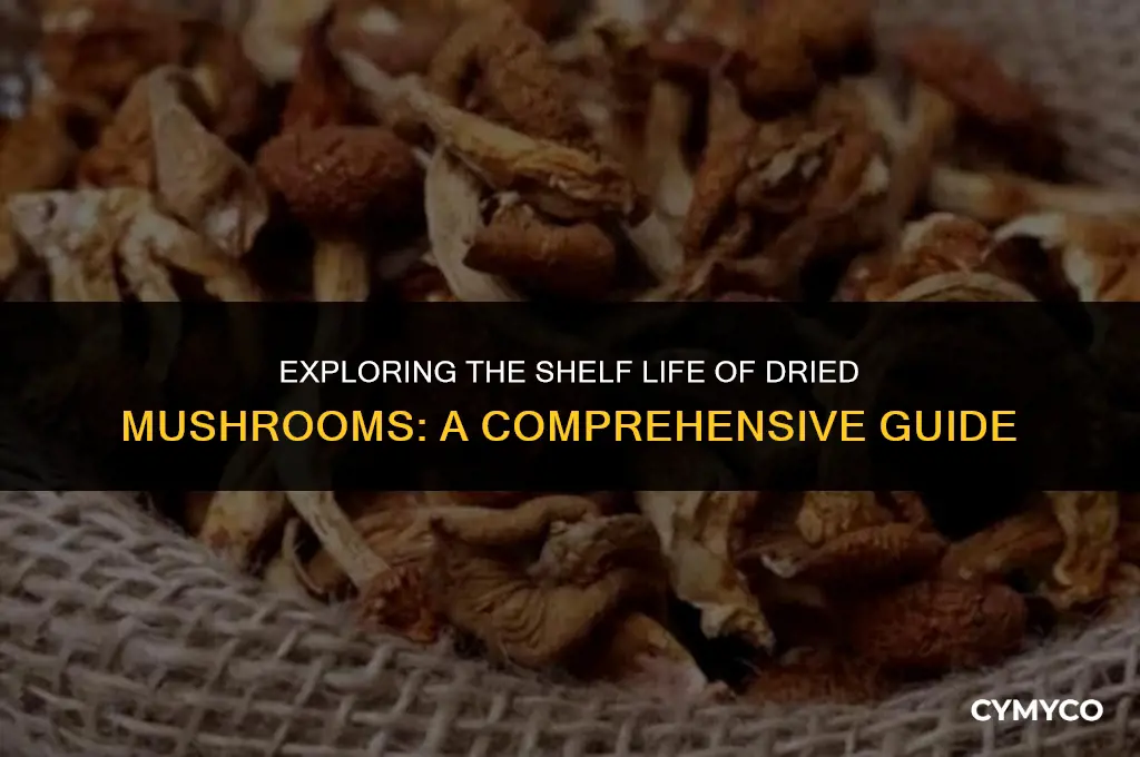 do dried mushrooms ever go bad