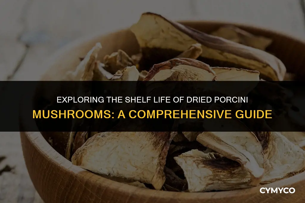 do dried porcini mushrooms go bad