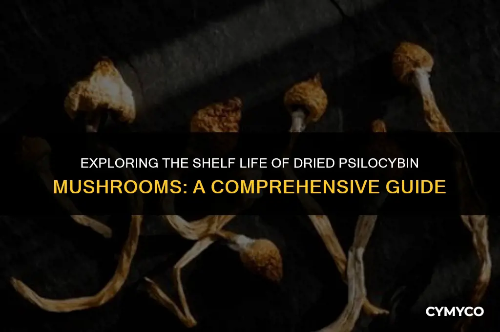do dried psilocybin mushrooms go bad