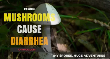 Exploring the Digestive Effects of Edible Mushrooms: A Tummy's Tale