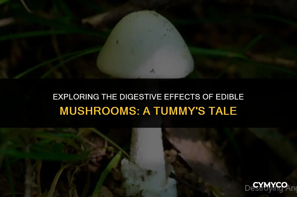 do edible mushrooms cause diarrhea