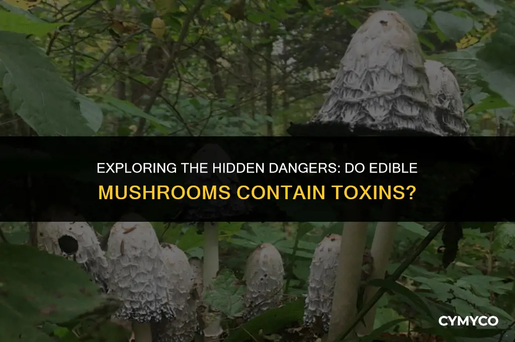do edible mushrooms have toxins