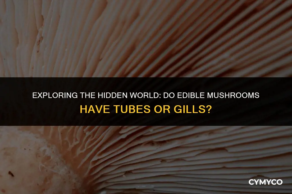 do edible mushrooms have tubes or gills