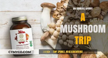 Exploring the Synergy: How Edibles Influence a Mushroom Journey
