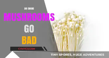 Do Enoki Mushrooms Go Bad? Shelf Life and Storage Tips