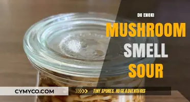 Do Enoki Mushrooms Smell Sour? Unraveling the Mystery of Their Aroma