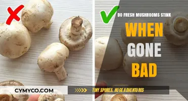 The Unpleasant Truth: How to Tell When Mushrooms Go Bad
