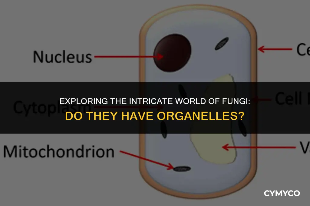 do fungi have organelles