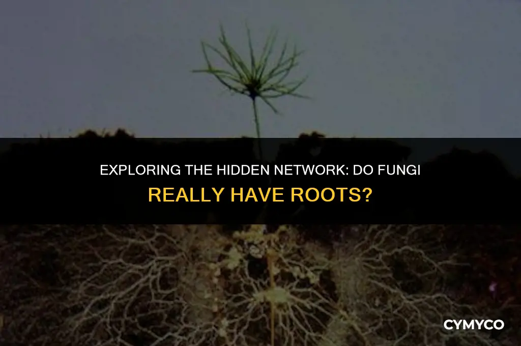 do fungi have roots