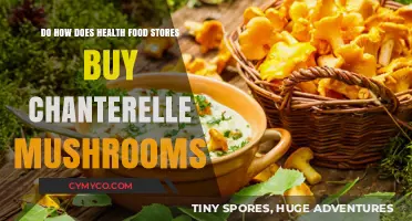 How Health Food Stores Source and Purchase Chanterelle Mushrooms