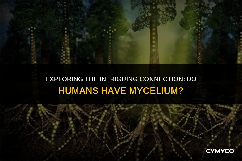 do humans have mycelium