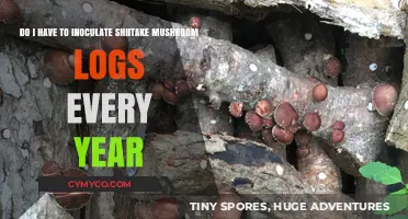 Annual Inoculation of Shiitake Mushroom Logs: A Must or Not?