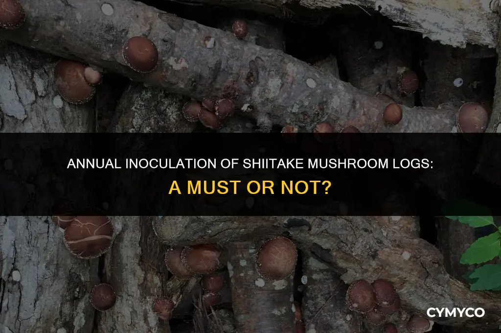 do i have to inoculate shiitake mushroom logs every year