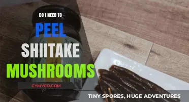 Shiitake Mushrooms: To Peel or Not to Peel?