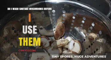 Should You Wash Shiitake Mushrooms Before Cooking? Expert Tips