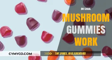 Exploring the Effects of Legal Mushroom Gummies: Do They Really Work?