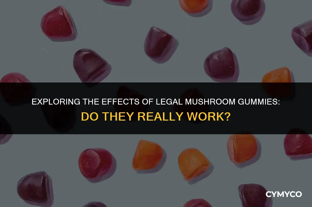 do legal mushroom gummies work