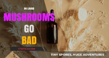 Exploring the Shelf Life of Liquid Mushrooms: Facts and Myths