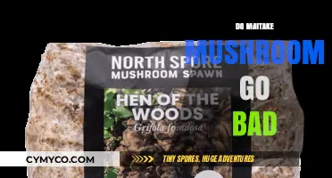 Do Maitake Mushrooms Spoil? Shelf Life and Storage Tips
