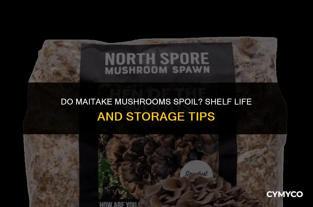 do maitake mushrooms go bad