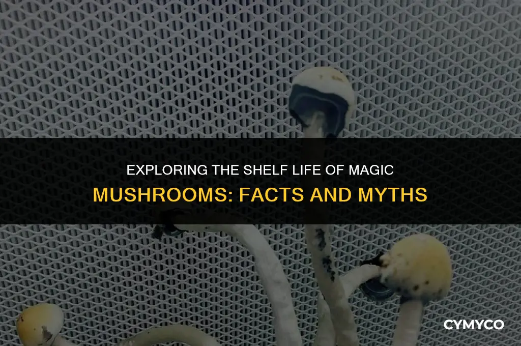 do majic mushrooms go bad