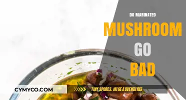 Exploring the Shelf Life of Marinated Mushrooms: A Comprehensive Guide