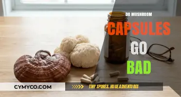 Exploring the Shelf Life of Mushroom Capsules: Do They Go Bad?