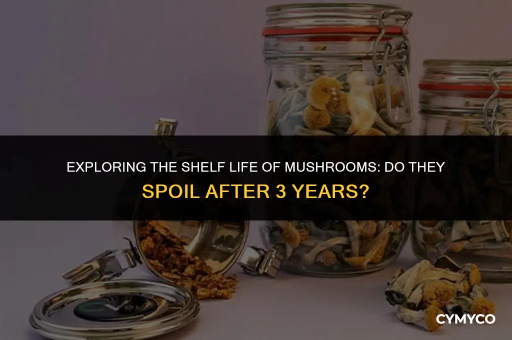 do mushrooms go bad after 3 years