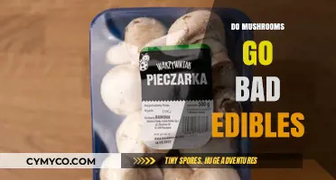 Exploring the Shelf Life of Edible Mushrooms: Do They Spoil?