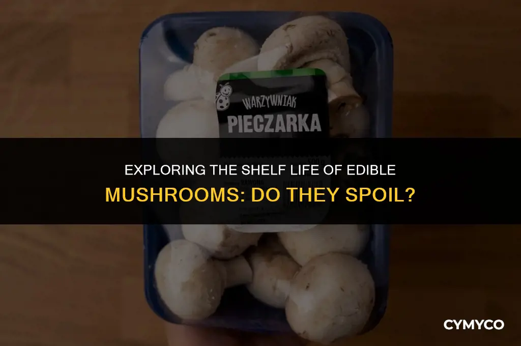 do mushrooms go bad edibles