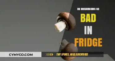 Do Mushrooms Go Bad in the Fridge? Storage Tips Revealed