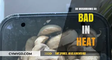 Heat's Impact on Mushrooms: Shelf Life and Safety Concerns