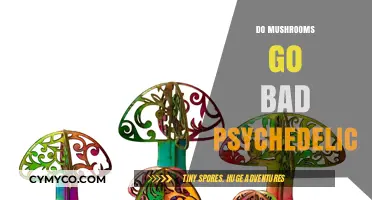 Exploring the Shelf Life of Psychedelic Mushrooms: Facts and Myths