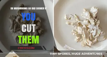 Sliced Mushrooms: Do They Spoil Faster Than Whole Ones?