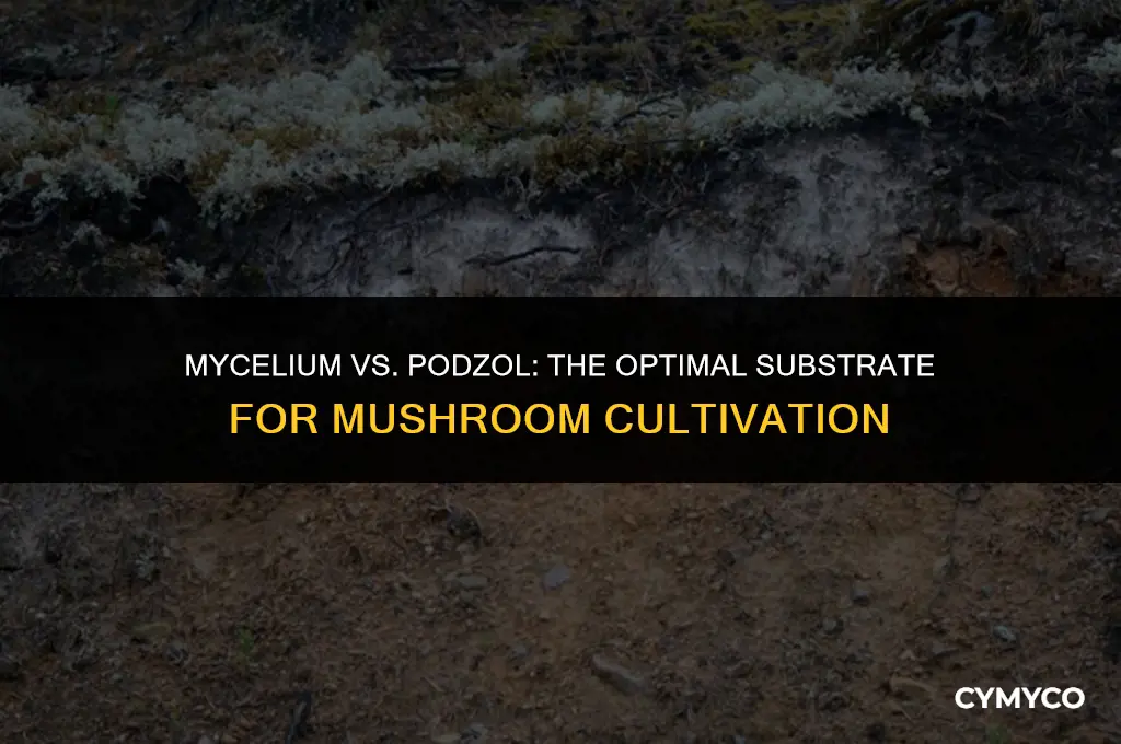 do mushrooms grow faster on mycelium or podzol