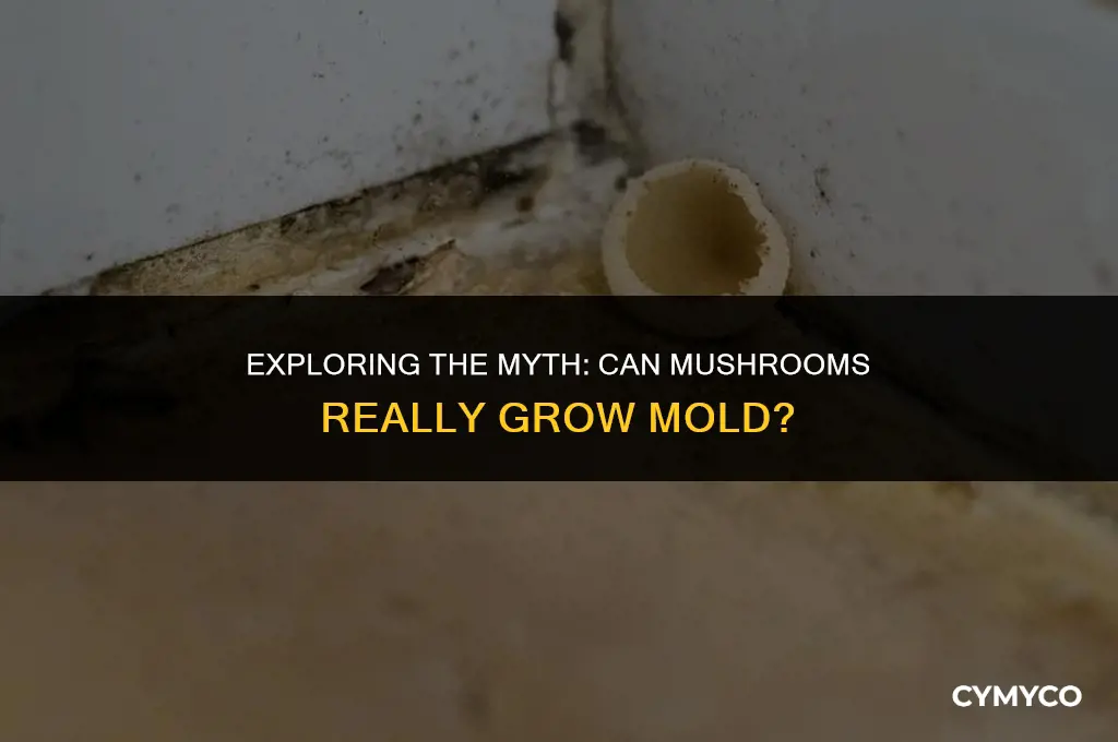 do mushrooms grow mold