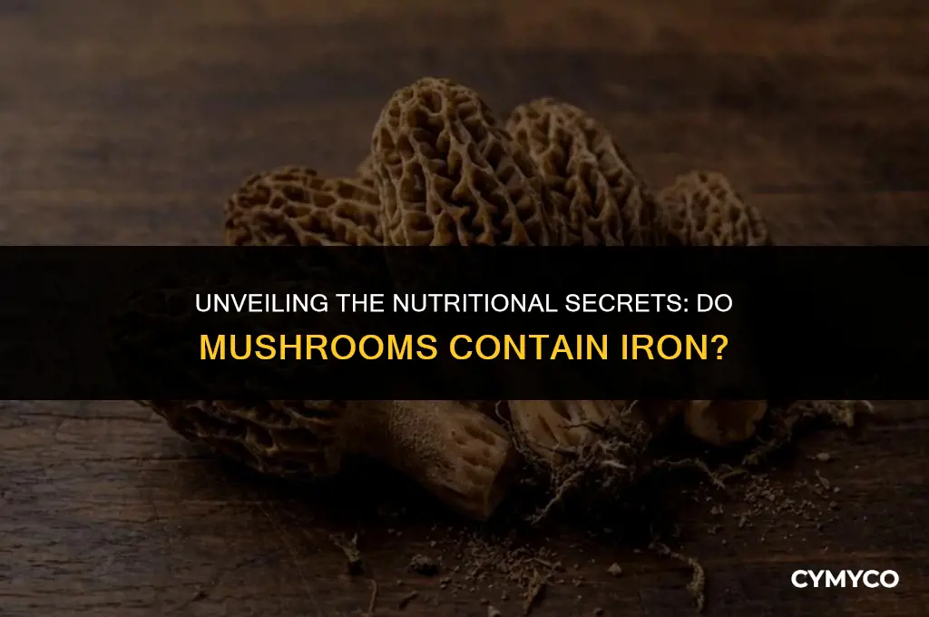 do mushrooms have iron