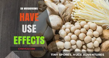 Exploring the Potential Side Effects of Mushroom Consumption
