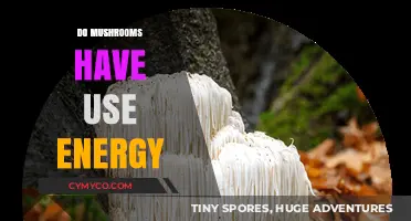 Do Mushrooms Use Energy? Unveiling Their Unique Metabolic Secrets