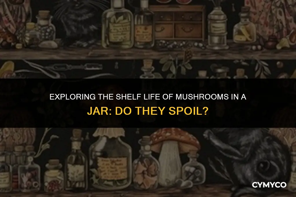 do mushrooms in a jar go bad