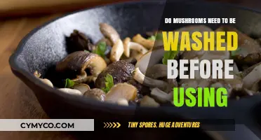 Should You Wash Mushrooms? Essential Tips Before Cooking with Fungi