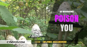 Exploring the Myths and Facts: Can Mushrooms Be Poisonous?