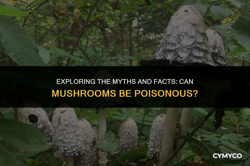 do mushrooms poison you